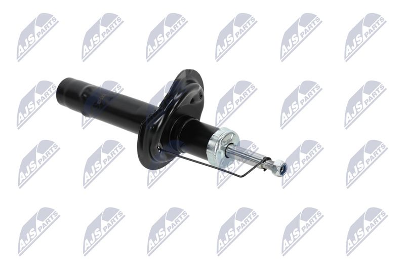 Amort, NTY A-CT-020