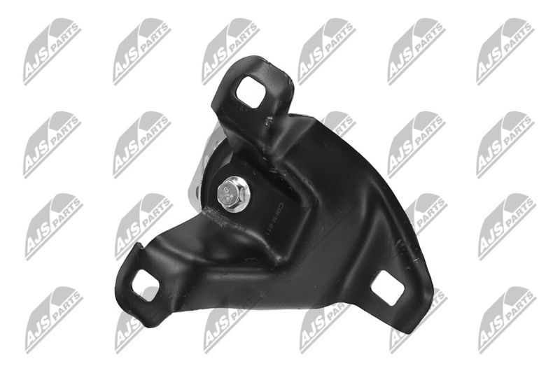 Paigutus, Mootor, NTY ZPS-FR-011