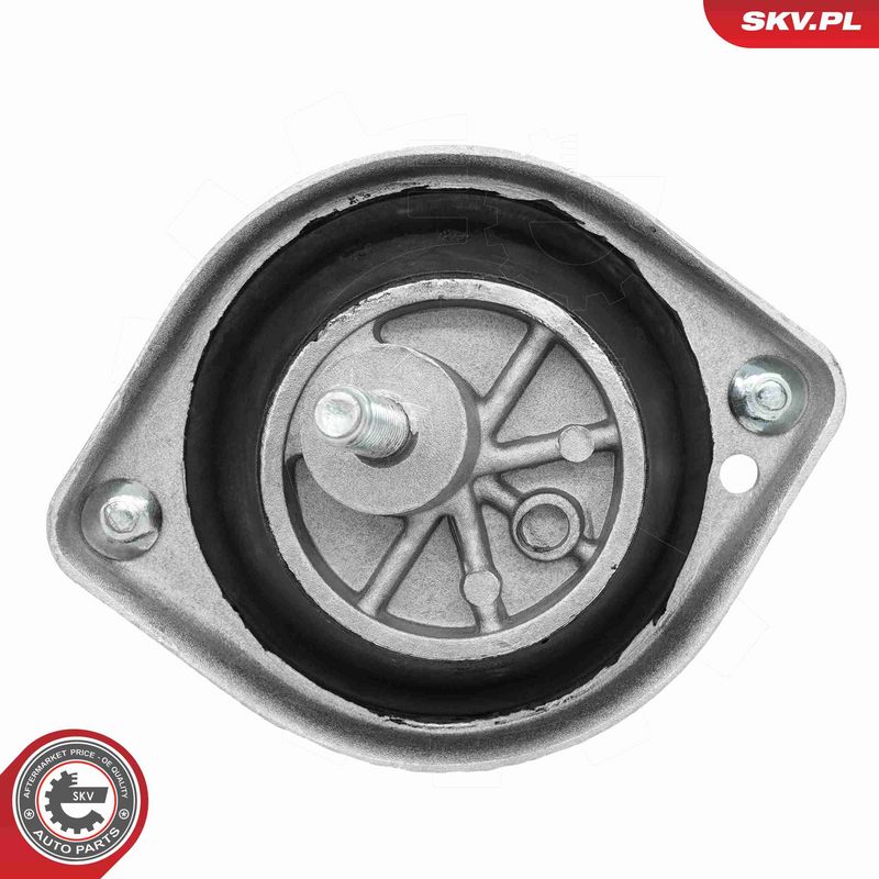 Paigutus, Mootor, ESEN SKV 75SKV167