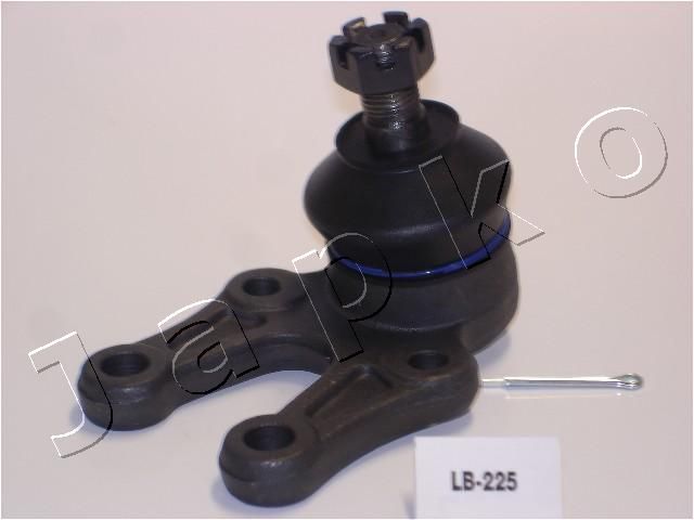 53225_1.JPG