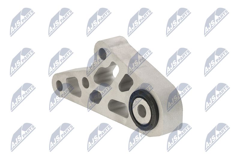 Paigutus, Mootor, NTY ZPS-CH-119