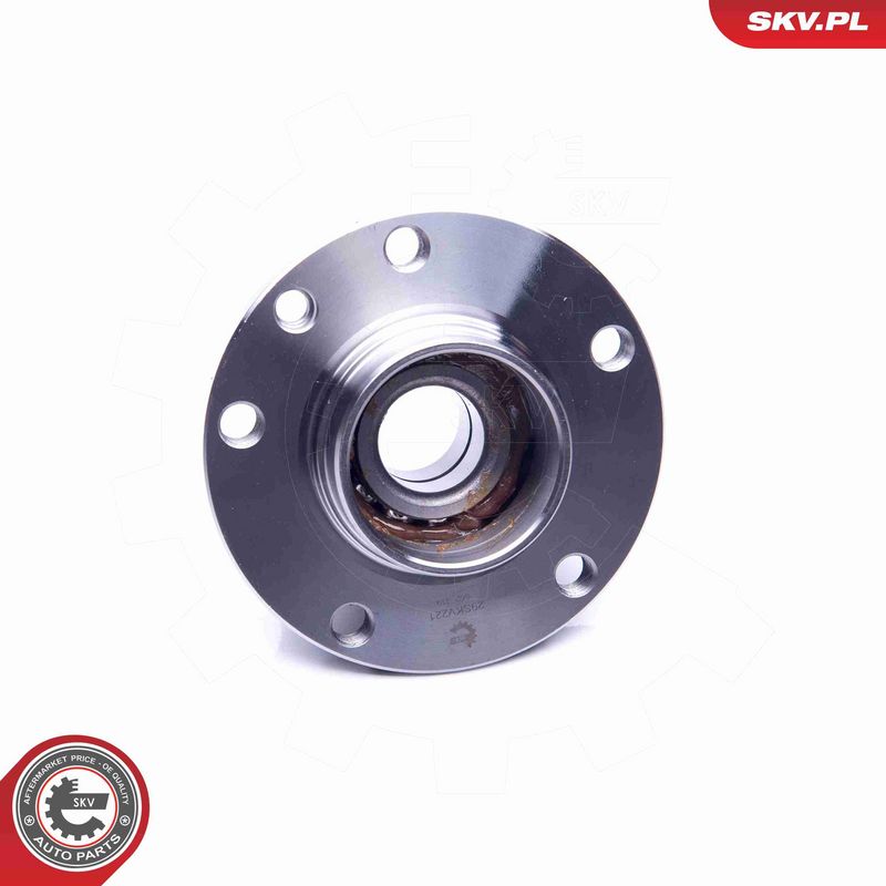 ESEN SKV 29SKV221 Wheel Bearing Kit