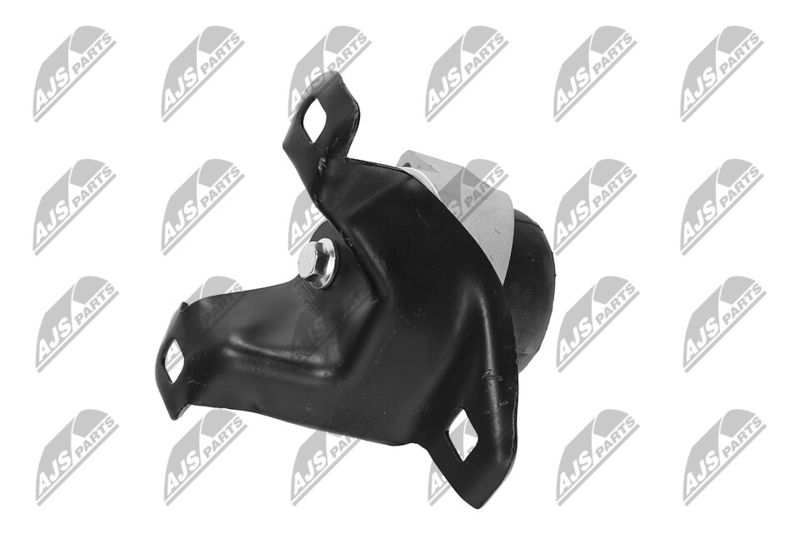 Paigutus, Mootor, NTY ZPS-FR-011