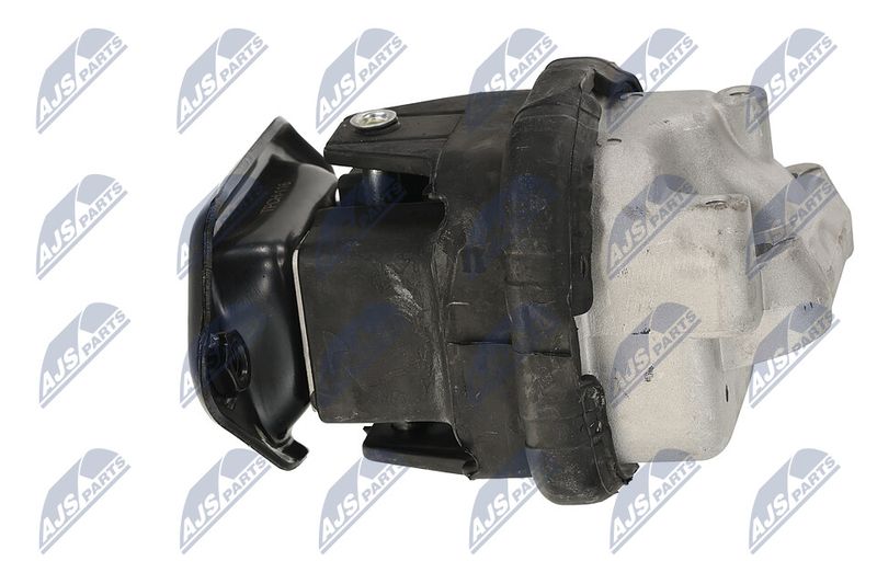 Paigutus, Mootor, NTY ZPS-CH-116