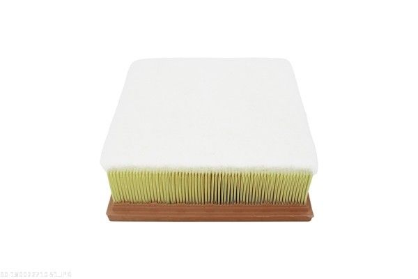 AUTOMEGA 180022710 Air Filter
