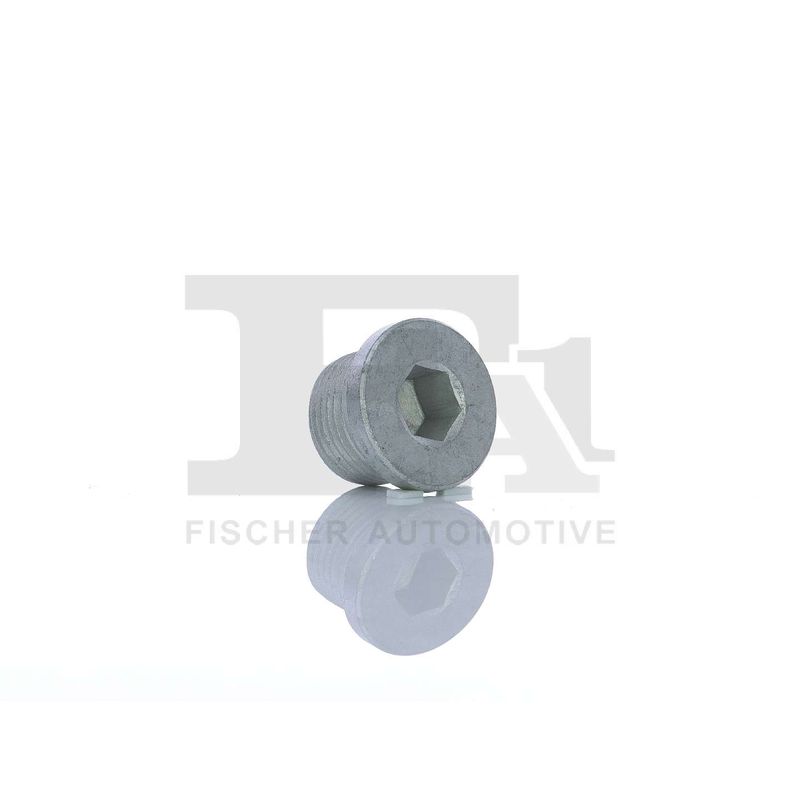 FA1 257.858.001 Screw Plug, oil sump
