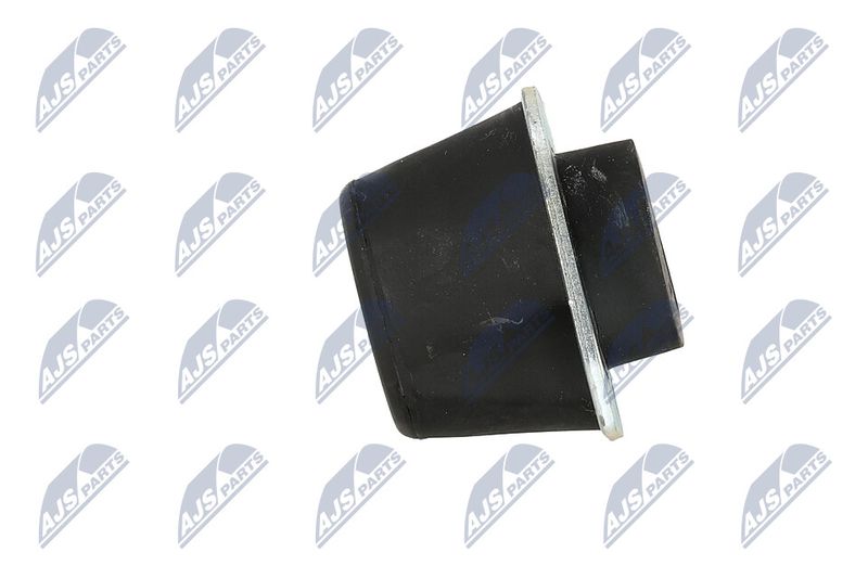 Paigutus, Mootor, NTY ZPS-PE-005