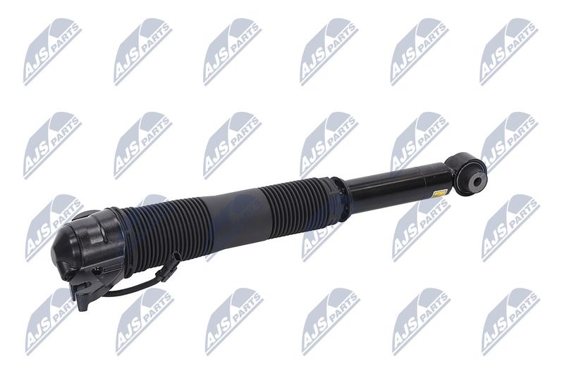Amort, NTY A-LR-021