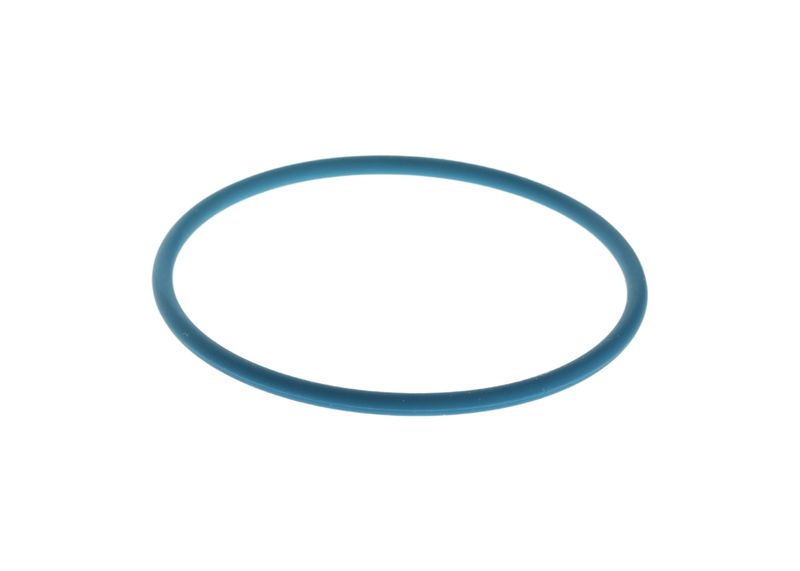 Inel cauciuc F 00N 204 925 BOSCH