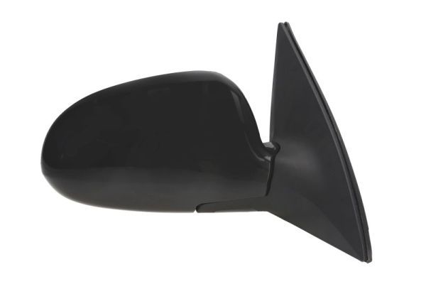 BLIC 5402-20-2002842P Exterior Mirror