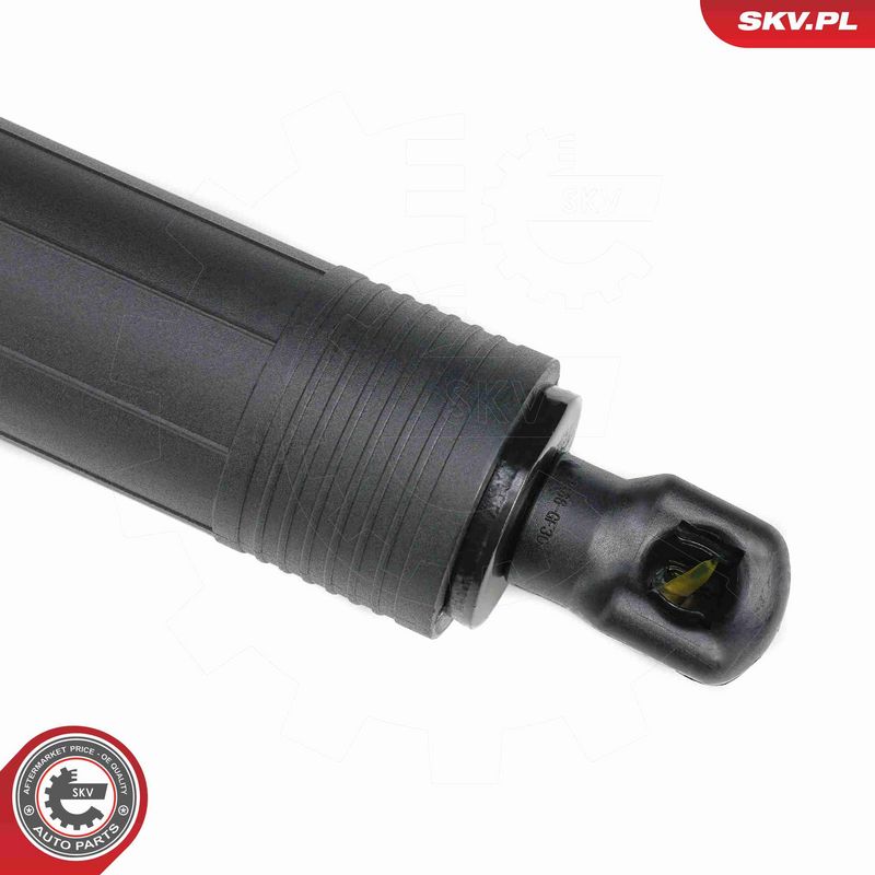 ESEN SKV 52SKV878 Electric Motor, tailgate