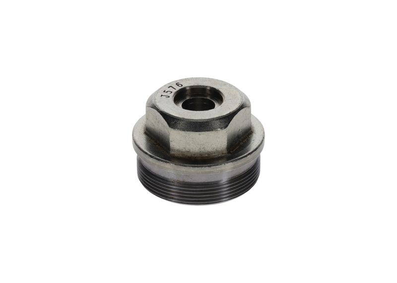 Surub F 002 D13 576 BOSCH