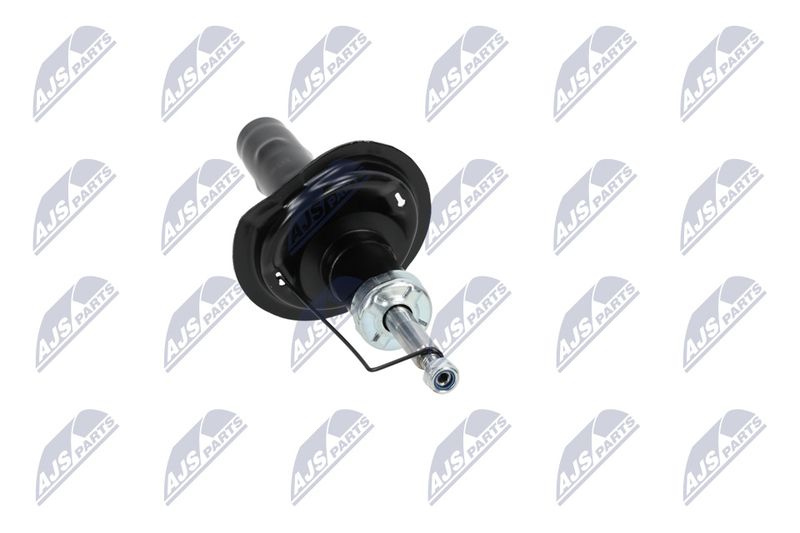Amort, NTY A-CT-020
