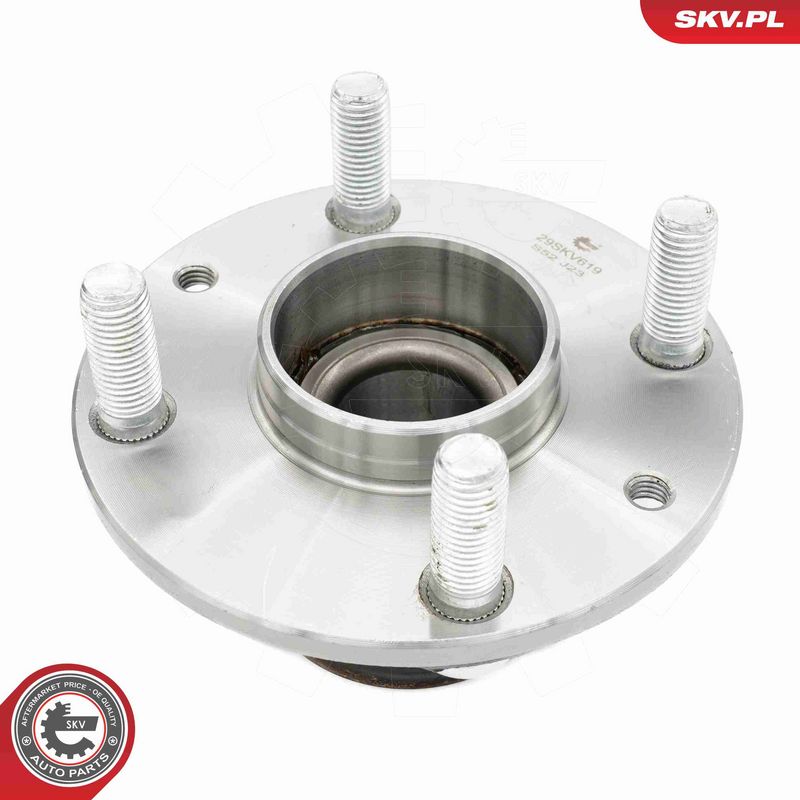 ESEN SKV 29SKV619 Wheel Bearing Kit