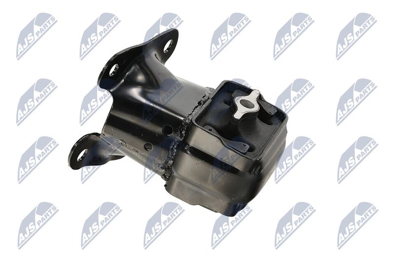 Paigutus, Mootor, NTY ZPS-CH-089