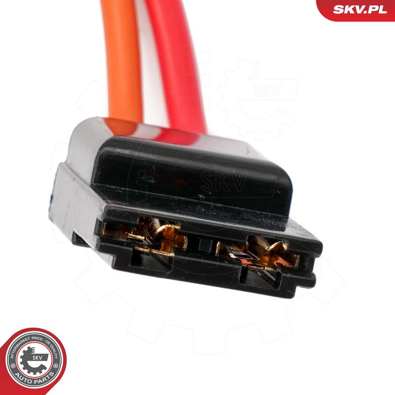 Roolilukk, ESEN SKV 65SKV204