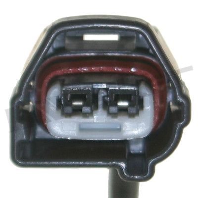 273-20335_4.JPG