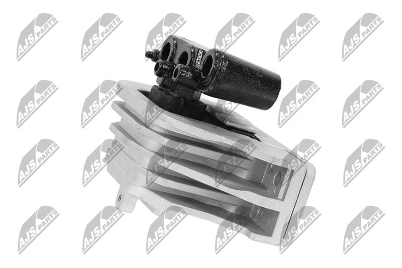 Paigutus, Mootor, NTY ZPS-CH-103