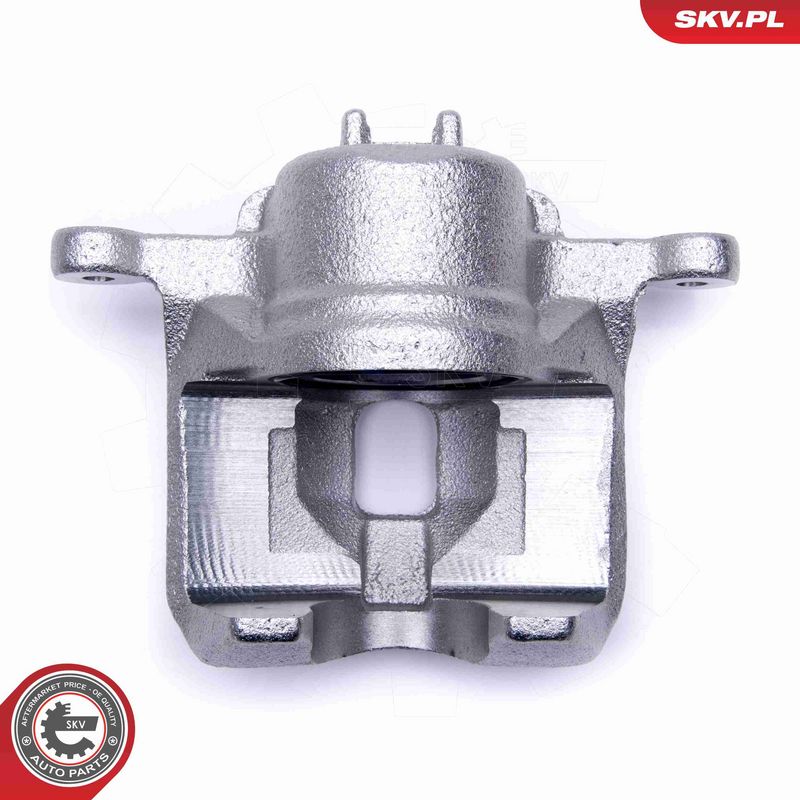 ESEN SKV 50SKV481 Brake Caliper