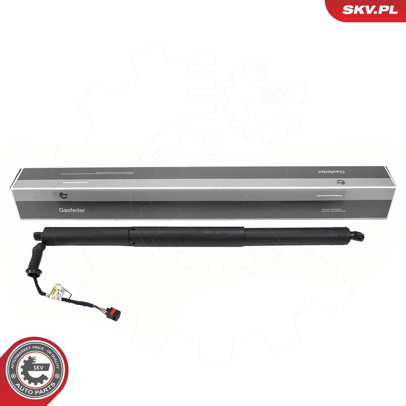 Elektrimootor, tagaluuk, ESEN SKV 52SKV248