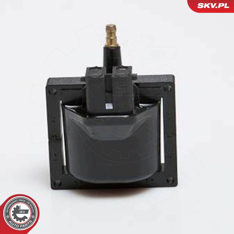 ESEN SKV 03SKV150 Ignition Coil