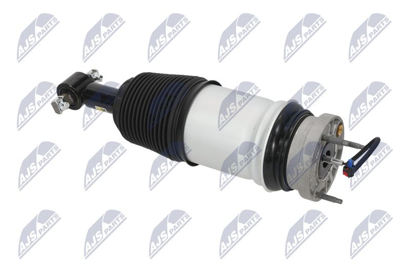 Amort, NTY A-CH-098