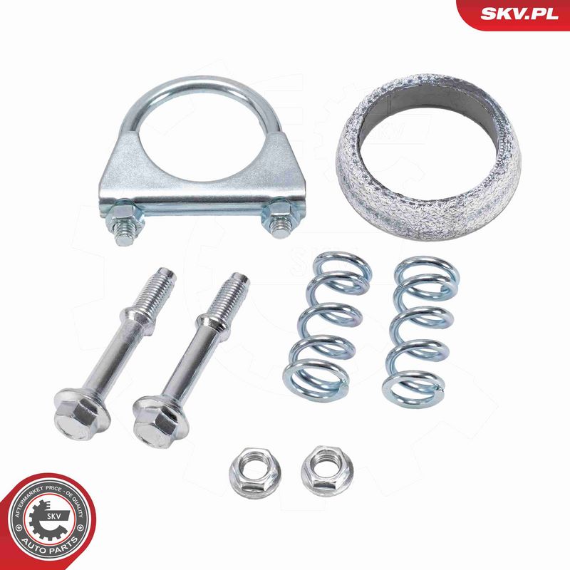 ESEN SKV 62SKV150 Catalytic Converter