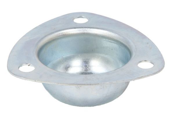 BTA B09-CNH-001 Cover, wheel hub