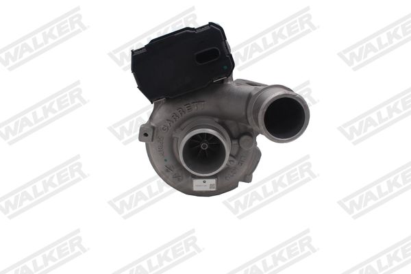 59572g-ev_5348936.JPG
