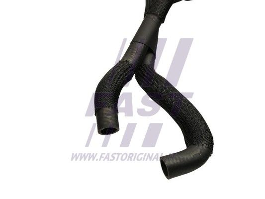 FT61496_2_1.JPG