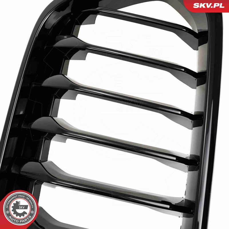 ESEN SKV 66SKV245 Radiator Grille