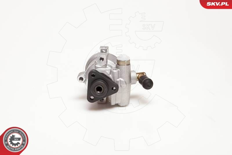 ESEN SKV 10SKV053 Hydraulic Pump, steering