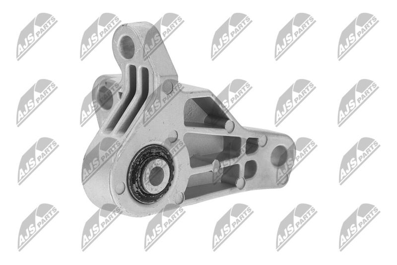 Paigutus, Mootor, NTY ZPS-FR-066