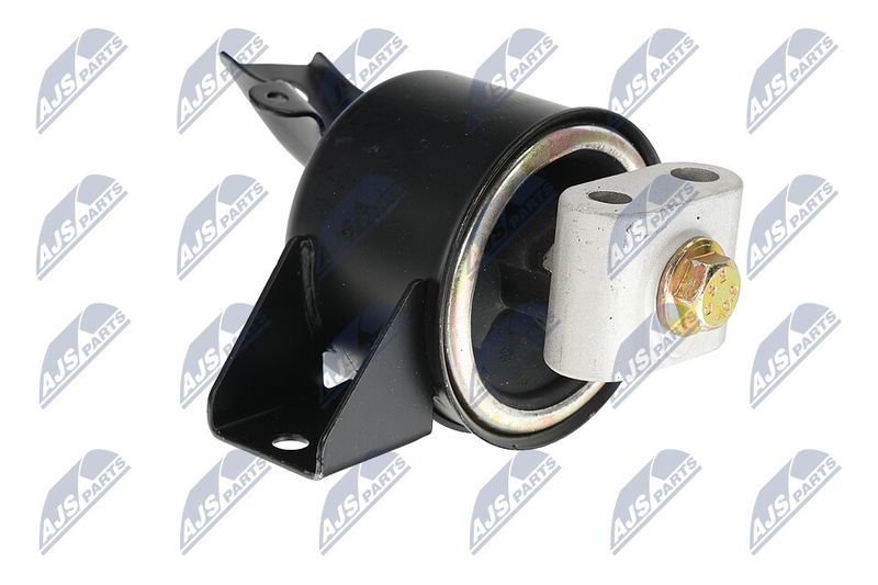 Paigutus, Mootor, NTY ZPS-DW-010