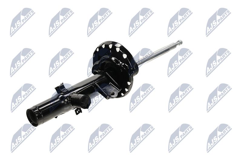 Amort, NTY A-LR-033