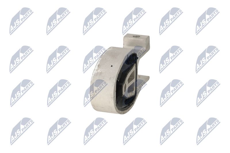 Paigutus, Mootor, NTY ZPS-FR-037