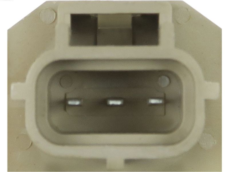 325856.JPG