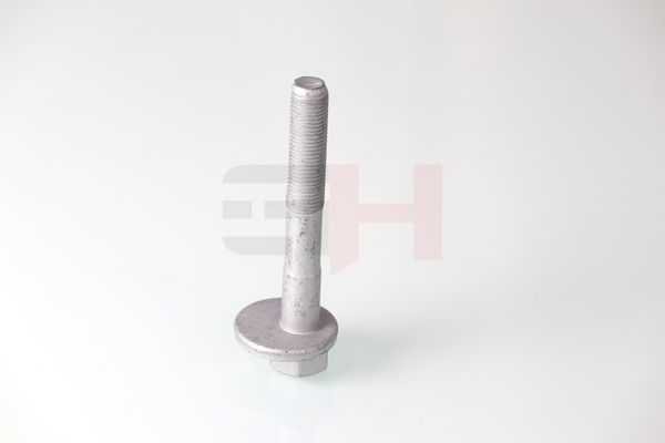 GH GH-399901 Camber Correction Screw