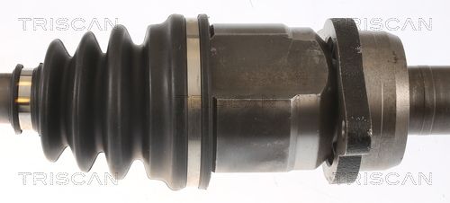 854013556_3.JPG