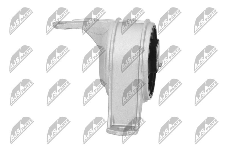 Paigutus, Mootor, NTY ZPS-PL-001