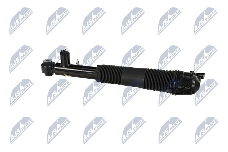 Amort, NTY A-LR-037