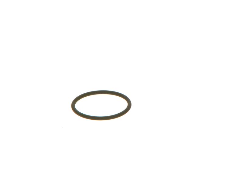 BOSCH F 00V C38 002 Seal Ring