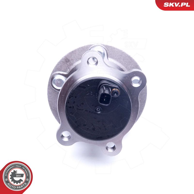 Rattalaagrikomplekt, ESEN SKV 29SKV310