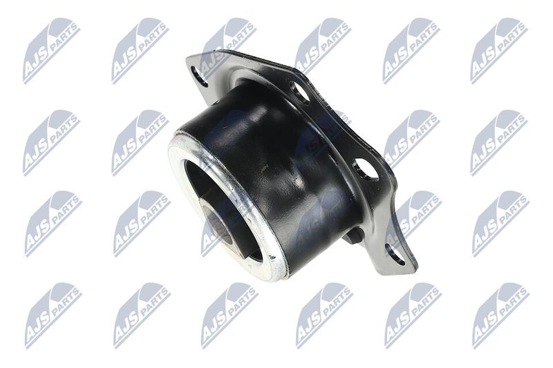 Paigutus, Mootor, NTY ZPS-CH-014