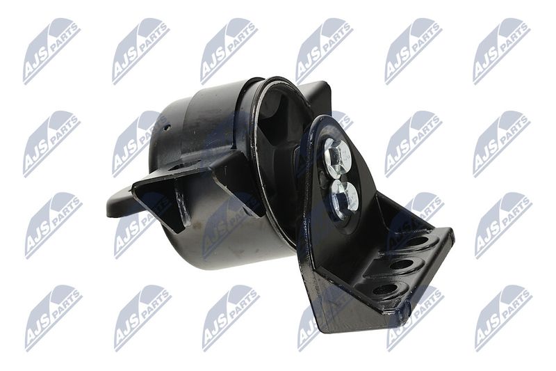 Paigutus, Mootor, NTY ZPS-DW-011