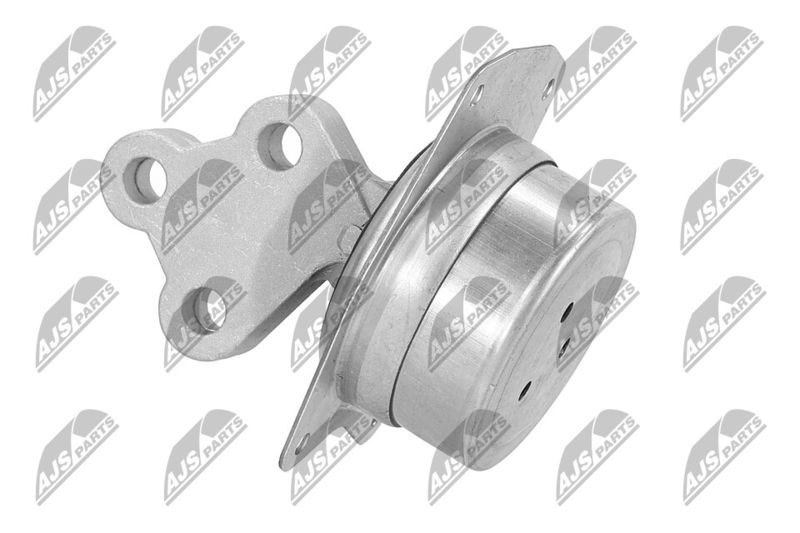 Paigutus, Mootor, NTY ZPS-PL-025