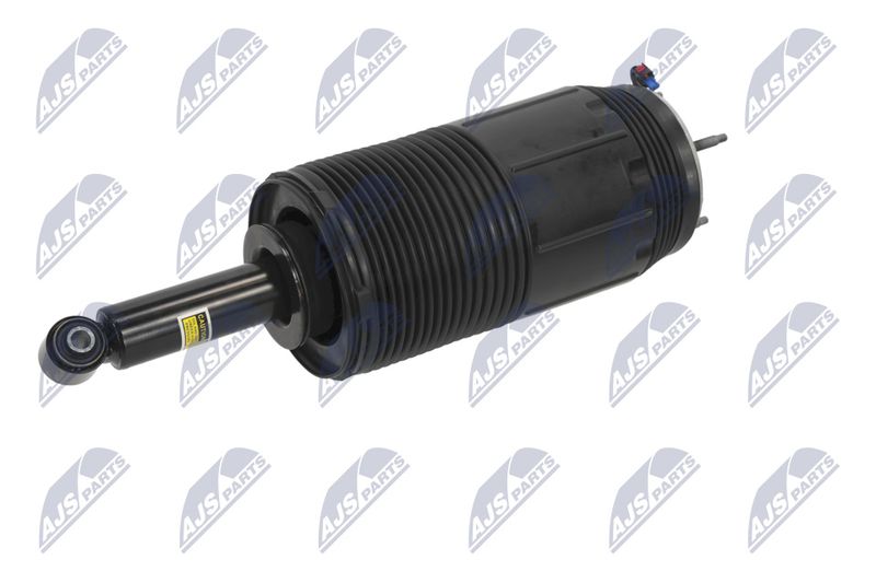 Amort, NTY A-CH-099