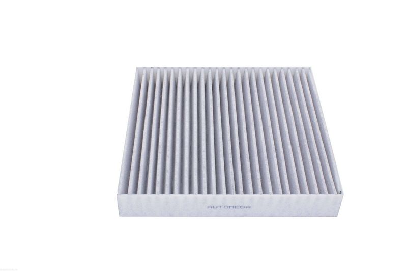 AUTOMEGA 250201310 Filter, cabin air