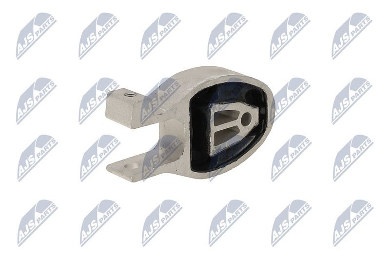 Paigutus, Mootor, NTY ZPS-FR-037