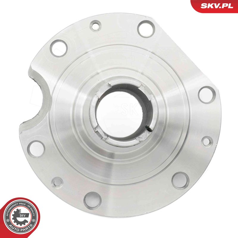 ESEN SKV 29SKV568 Wheel Bearing Kit